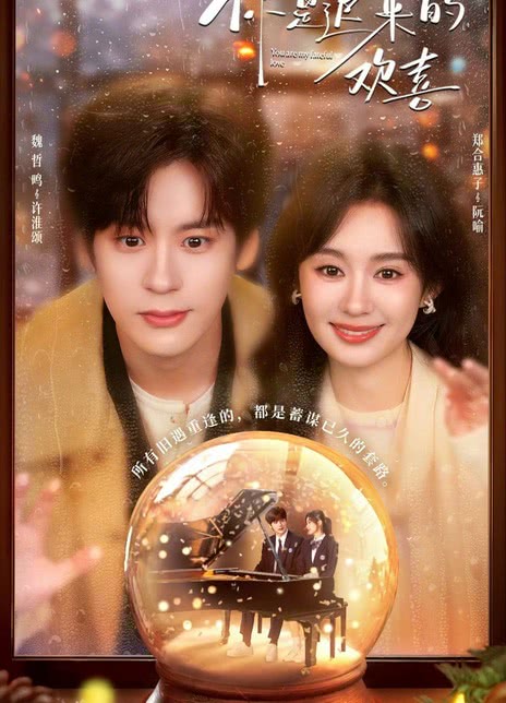 【国产剧】4K 你是迟来的欢喜 魏哲鸣/郑合惠子（2026） 爱情 网盘保存