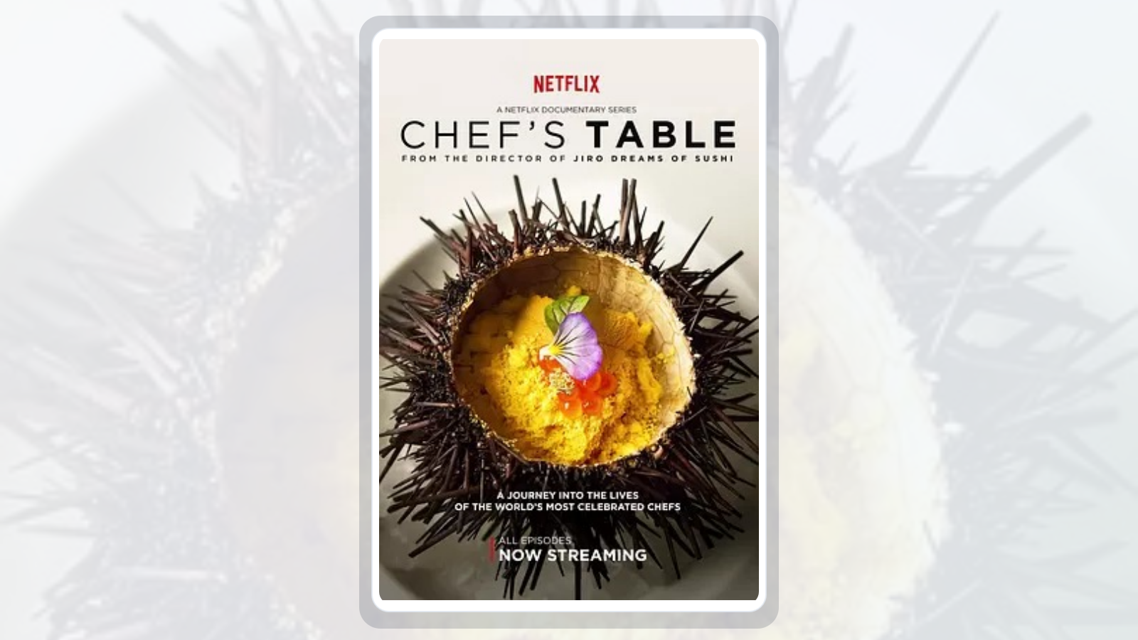 主厨的餐桌 全12季丨纪录片丨美剧丨豆瓣9.1分