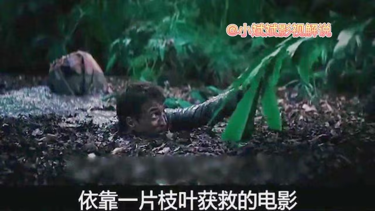 丛林里的超级朱菲