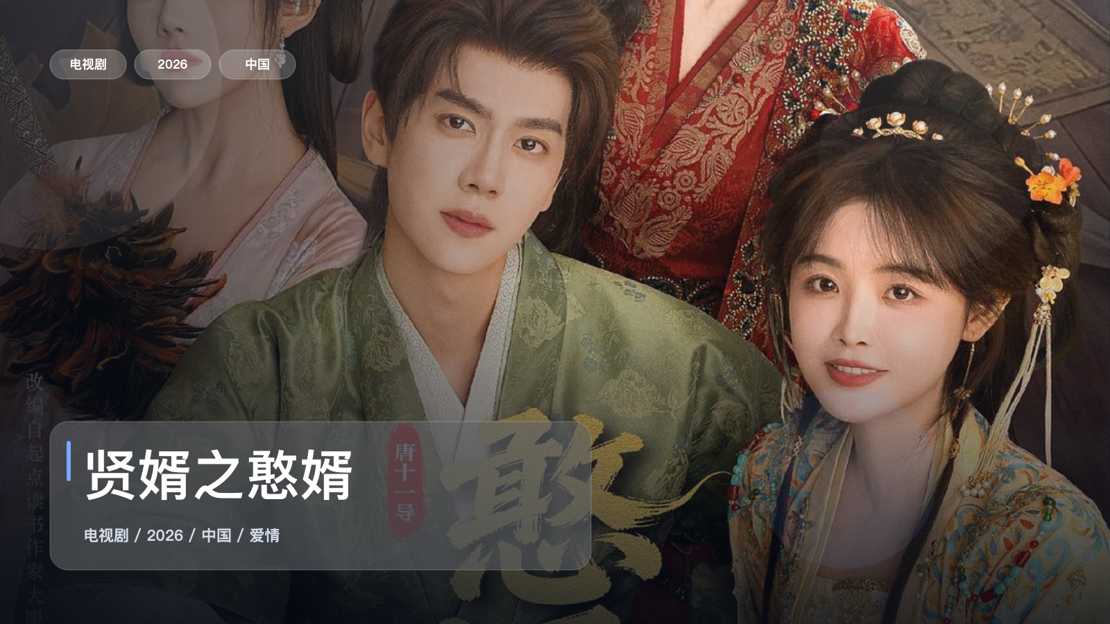 贤婿之憨婿