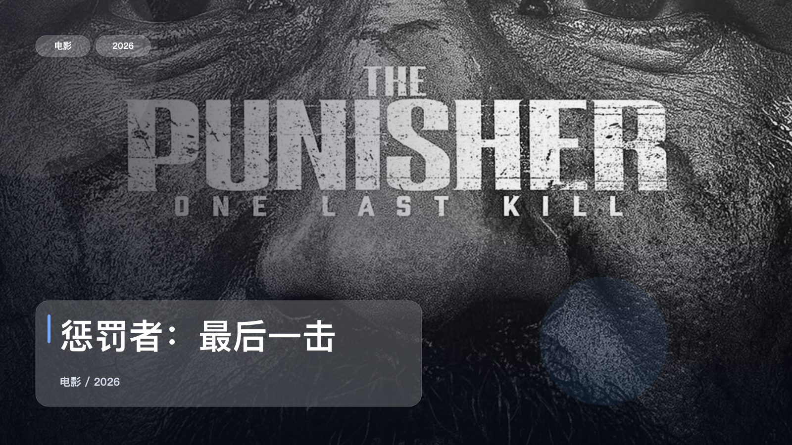 惩罚者：最后一击
