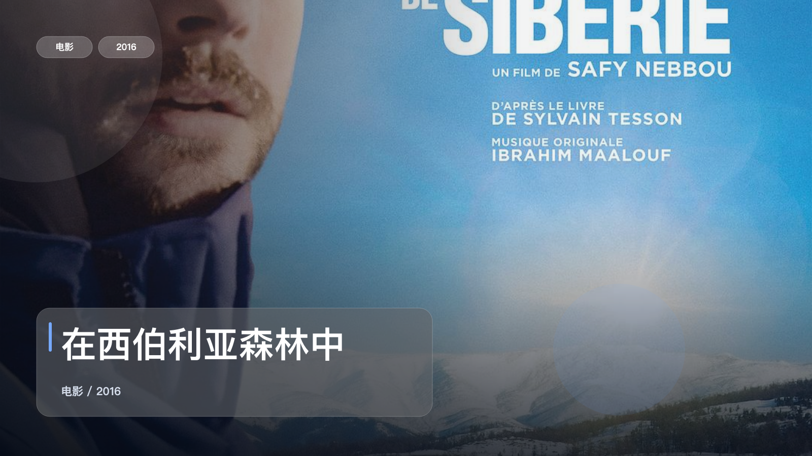 在西伯利亚森林中