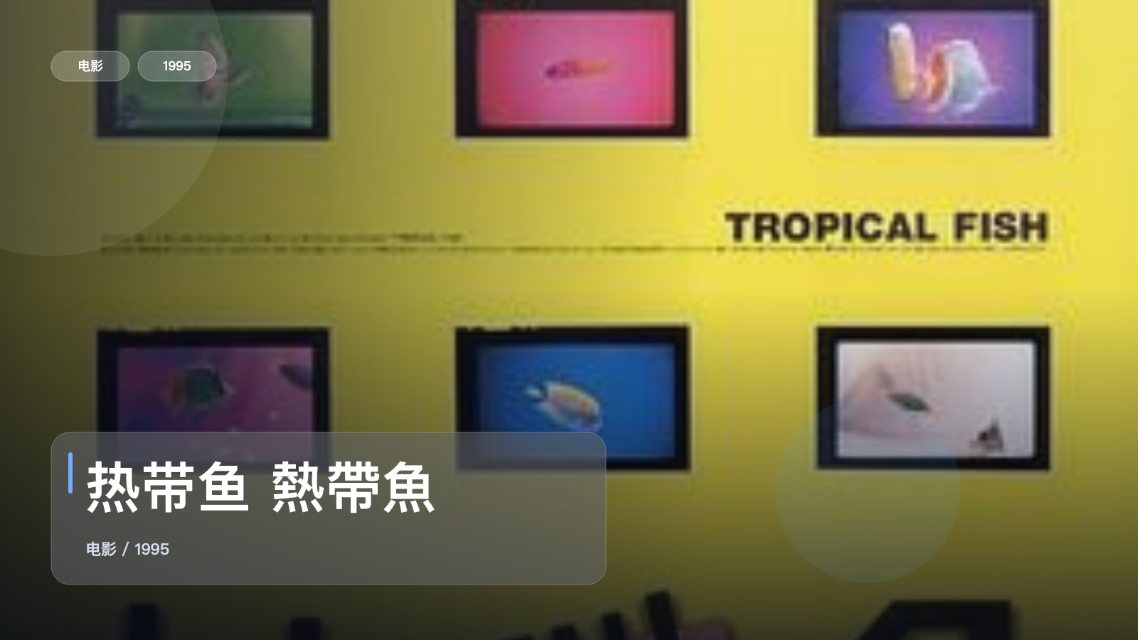 热带鱼 熱帶魚